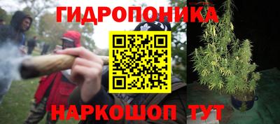 прущие крисы Ипатово