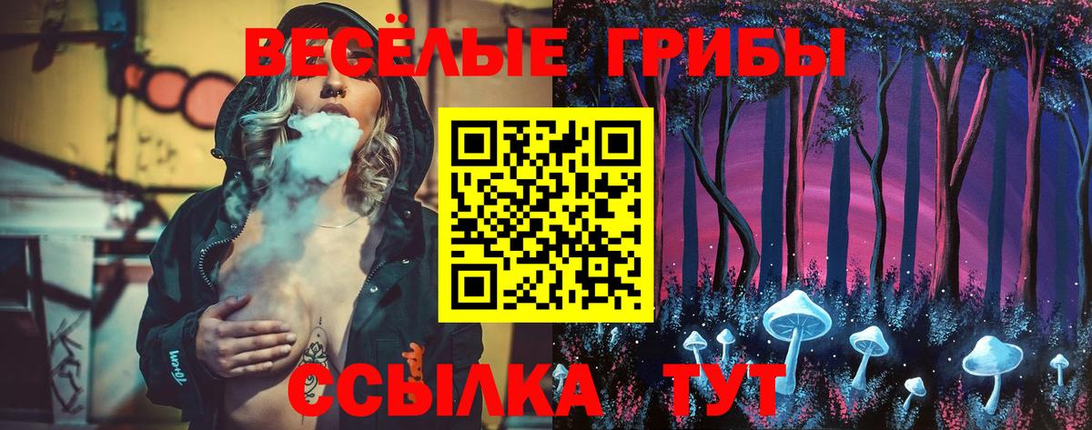 Псилоцибиновые грибы Psilocybine cubensis Ливны