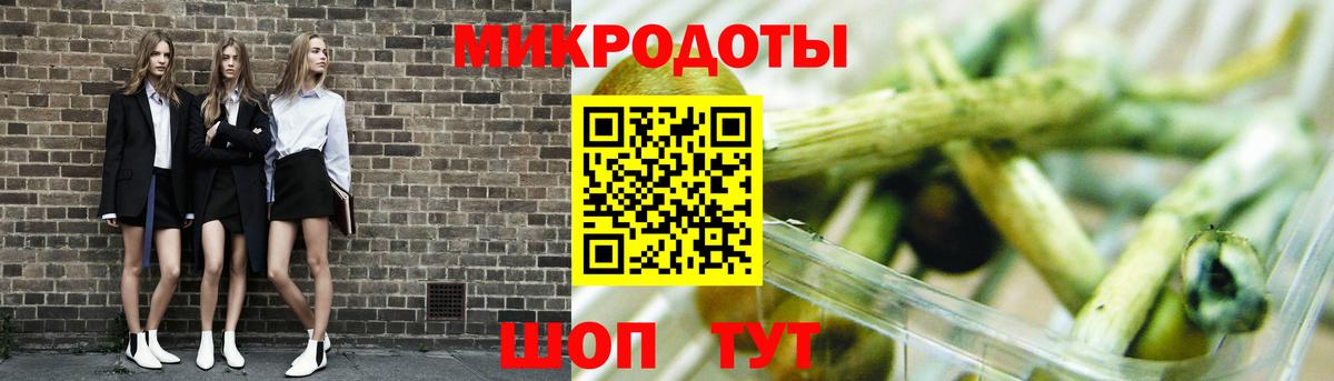 Псилоцибиновые грибы Psilocybe  Вход с VPN  Ливны 